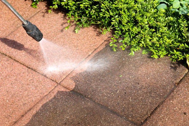 Best Best Pressure Washing Companies  in East Honolulu, HI